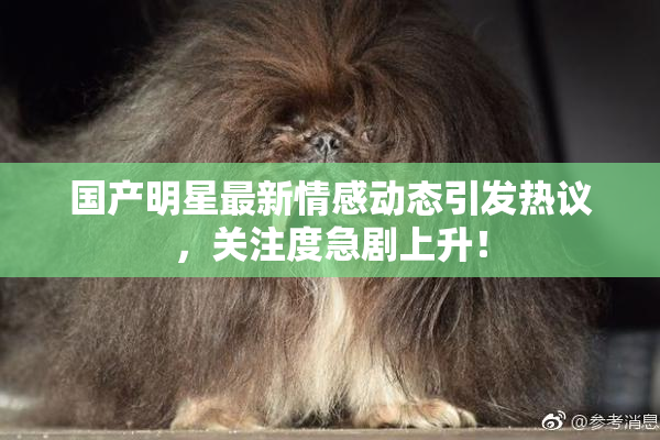 国产明星最新情感动态引发热议，关注度急剧上升！