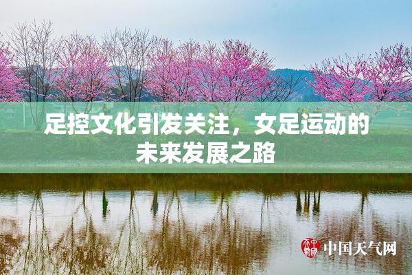 足控文化引发关注，女足运动的未来发展之路