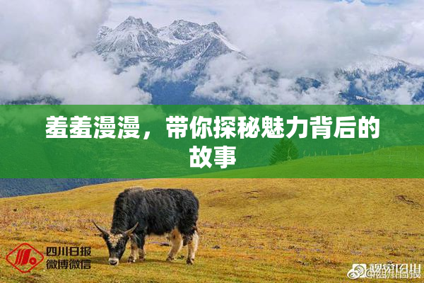 羞羞漫漫，带你探秘魅力背后的故事