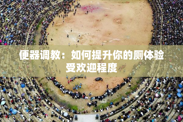 便器调教：如何提升你的厕体验受欢迎程度