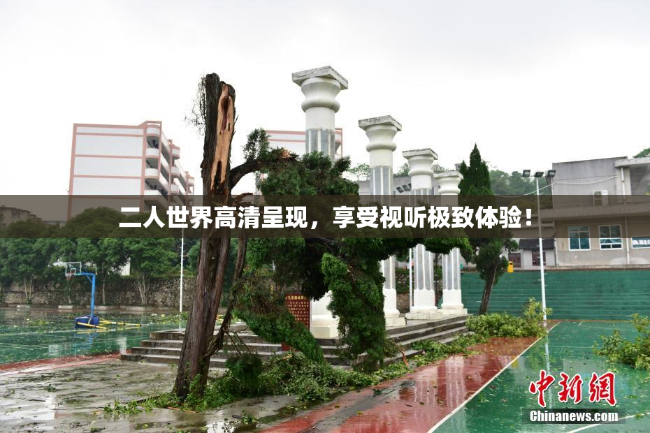 二人世界高清呈现，享受视听极致体验！