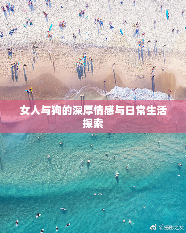 女人与狗的深厚情感与日常生活探索