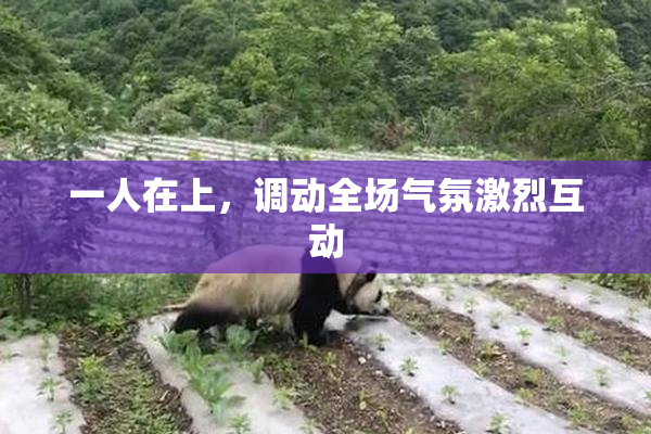 一人在上，调动全场气氛激烈互动