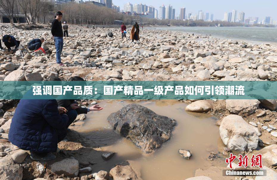 强调国产品质：国产精品一级产品如何引领潮流