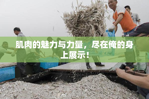 肌肉的魅力与力量，尽在俺的身上展示！