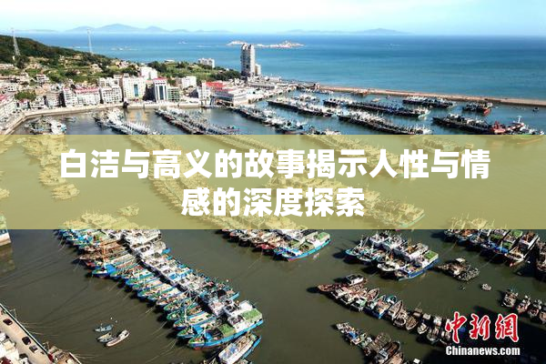 白洁与高义的故事揭示人性与情感的深度探索