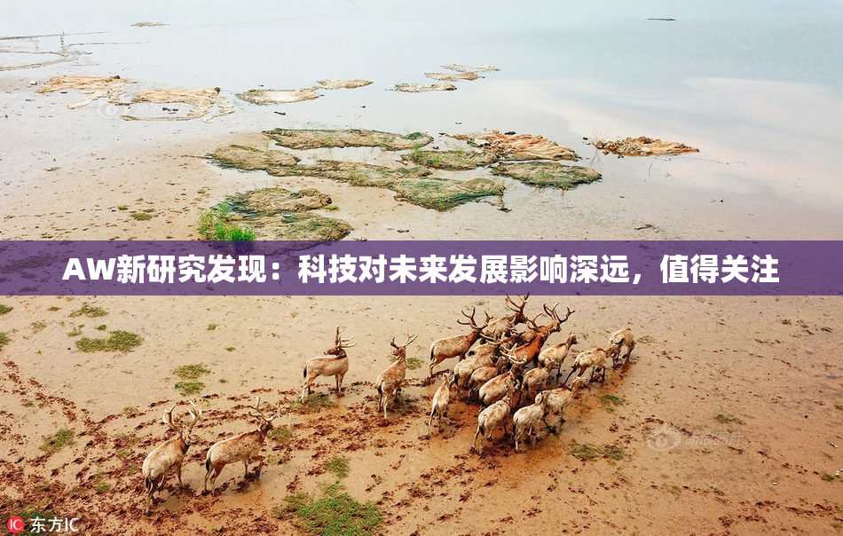 AW新研究发现：科技对未来发展影响深远，值得关注