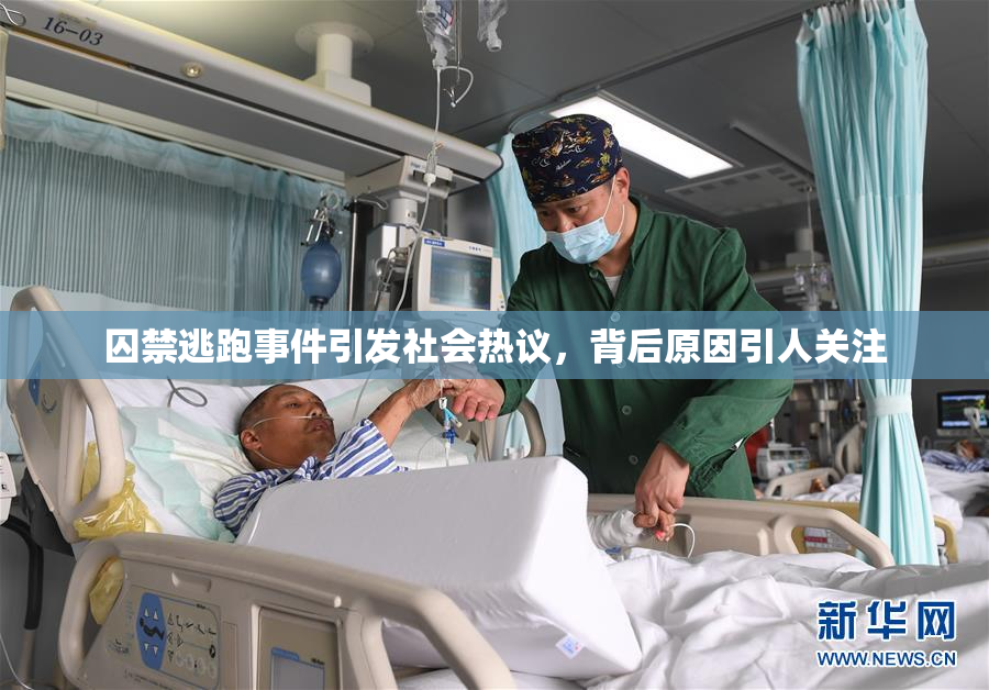 囚禁逃跑事件引发社会热议，背后原因引人关注
