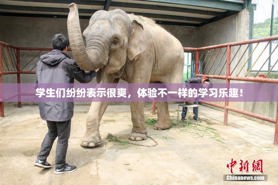 学生们纷纷表示很爽，体验不一样的学习乐趣！