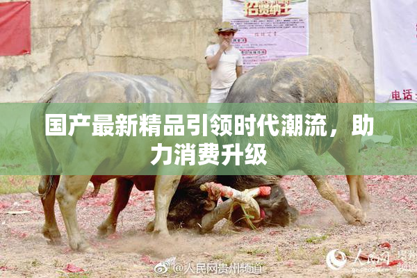 国产最新精品引领时代潮流，助力消费升级