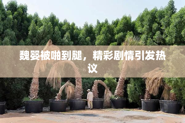 魏婴被啪到腿，精彩剧情引发热议