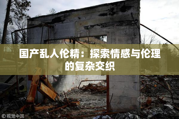国产乱人伦精：探索情感与伦理的复杂交织