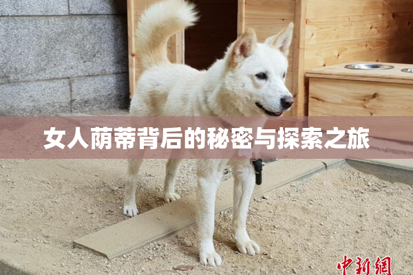 女人荫蒂背后的秘密与探索之旅