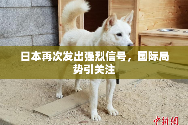 日本再次发出强烈信号，国际局势引关注
