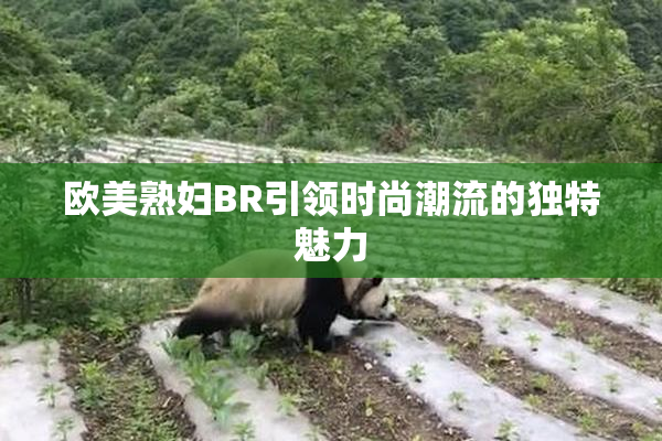 欧美熟妇BR引领时尚潮流的独特魅力
