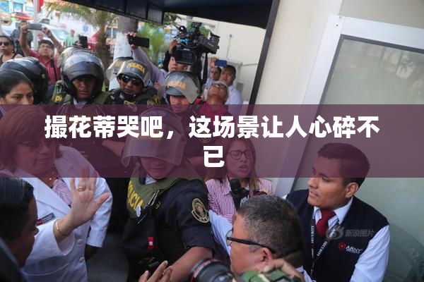 撮花蒂哭吧，这场景让人心碎不已