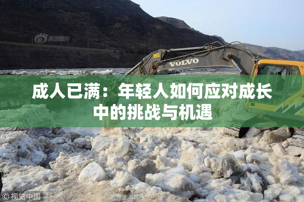 成人已满：年轻人如何应对成长中的挑战与机遇