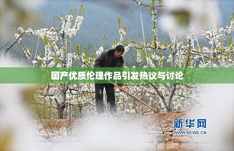 国产优质伦理作品引发热议与讨论