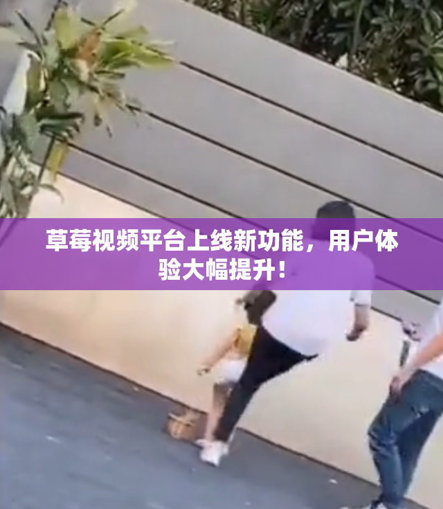 草莓视频平台上线新功能，用户体验大幅提升！