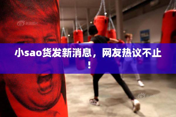小sao货发新消息，网友热议不止！