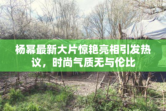 杨幂最新大片惊艳亮相引发热议，时尚气质无与伦比