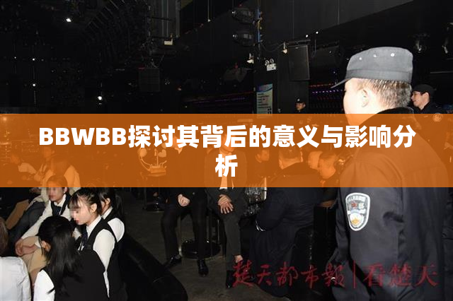 BBWBB探讨其背后的意义与影响分析