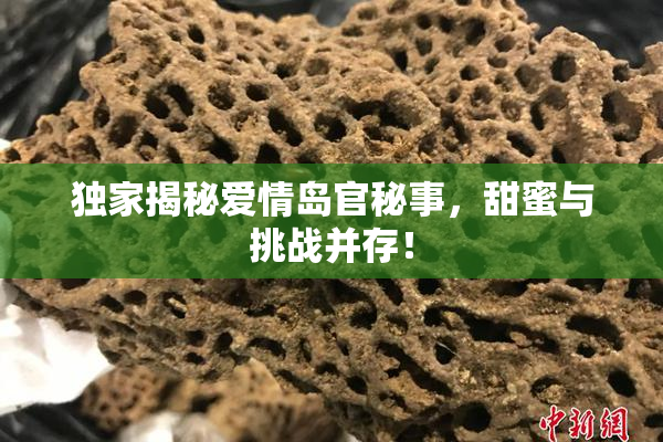 独家揭秘爱情岛官秘事，甜蜜与挑战并存！