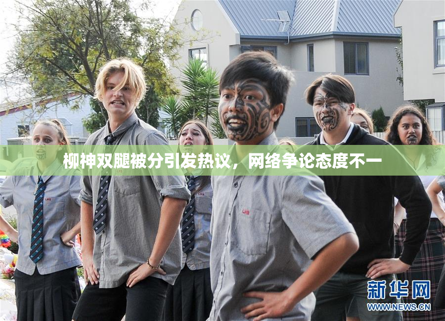 柳神双腿被分引发热议，网络争论态度不一