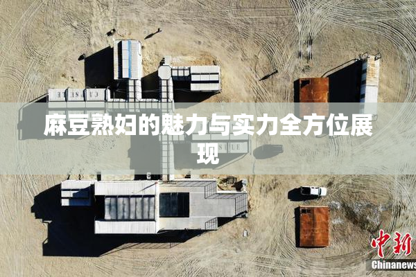 麻豆熟妇的魅力与实力全方位展现