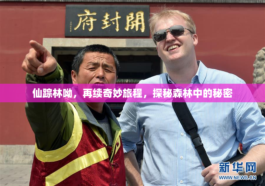 仙踪林呦，再续奇妙旅程，探秘森林中的秘密
