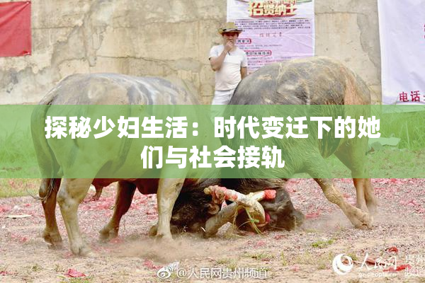 探秘少妇生活：时代变迁下的她们与社会接轨