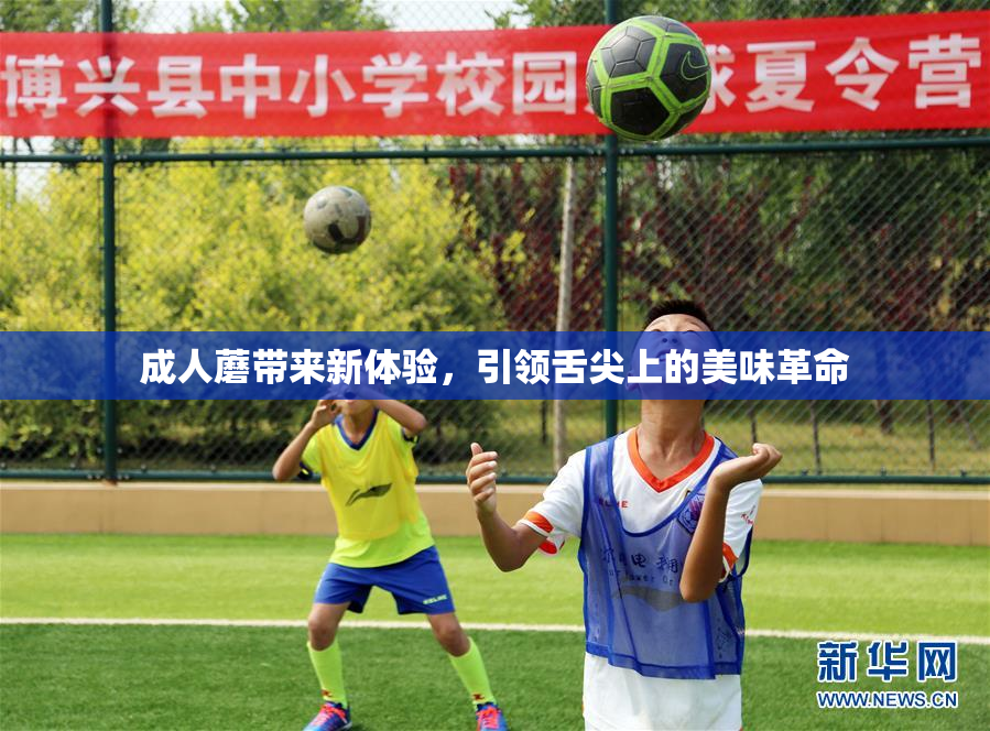 成人蘑带来新体验，引领舌尖上的美味革命