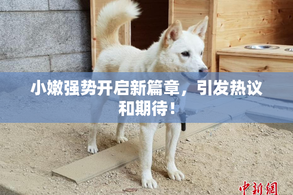 小嫩强势开启新篇章，引发热议和期待！