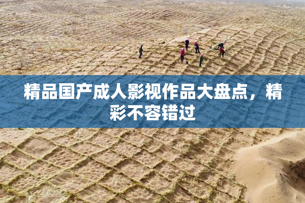精品国产成人影视作品大盘点，精彩不容错过