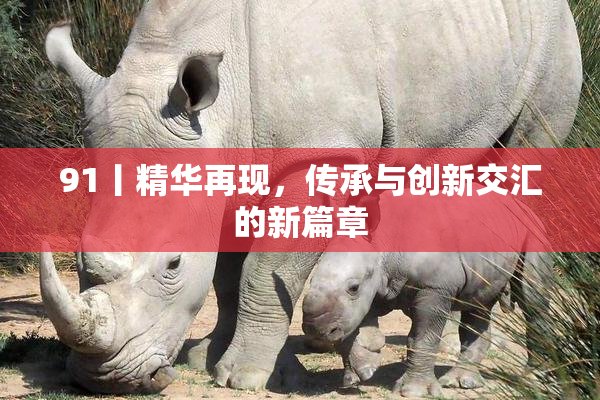 91丨精华再现，传承与创新交汇的新篇章