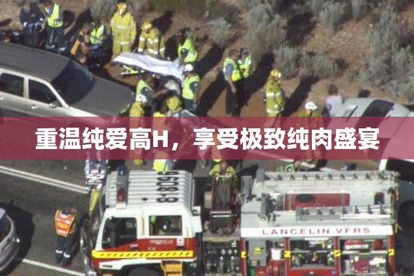 重温纯爱高H，享受极致纯肉盛宴
