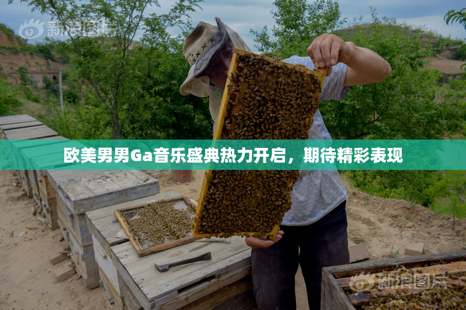 欧美男男Ga音乐盛典热力开启，期待精彩表现