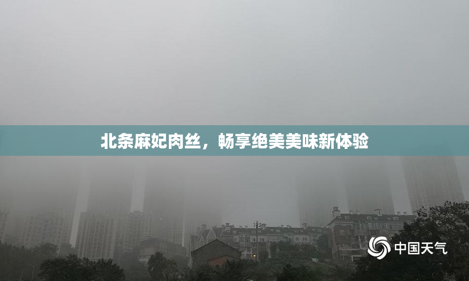 北条麻妃肉丝，畅享绝美美味新体验