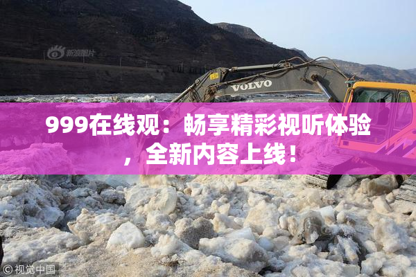 999在线观：畅享精彩视听体验，全新内容上线！