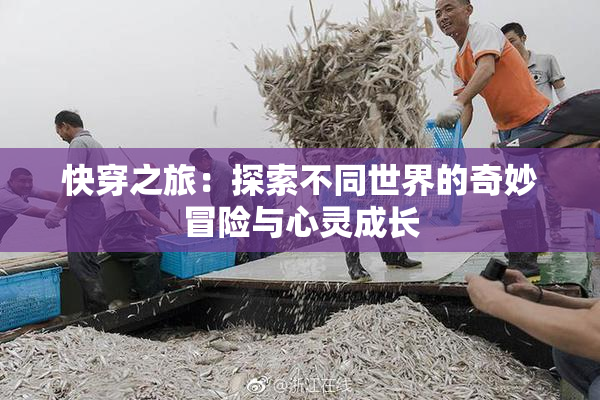 快穿之旅：探索不同世界的奇妙冒险与心灵成长