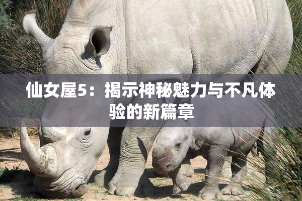 仙女屋5：揭示神秘魅力与不凡体验的新篇章