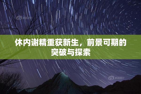 休内谢精重获新生，前景可期的突破与探索