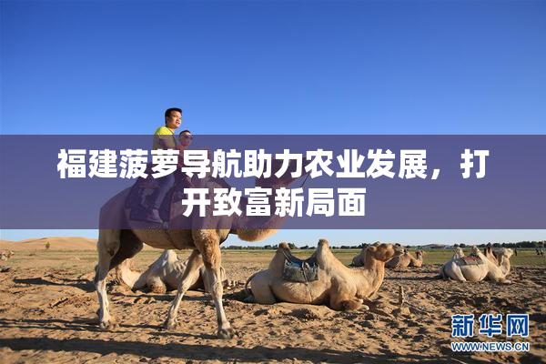 福建菠萝导航助力农业发展，打开致富新局面