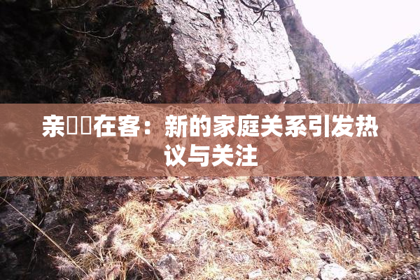 亲妺妺在客：新的家庭关系引发热议与关注