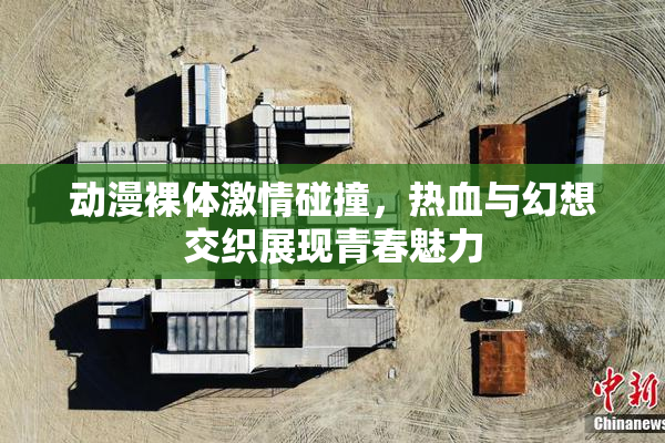 动漫裸体激情碰撞，热血与幻想交织展现青春魅力