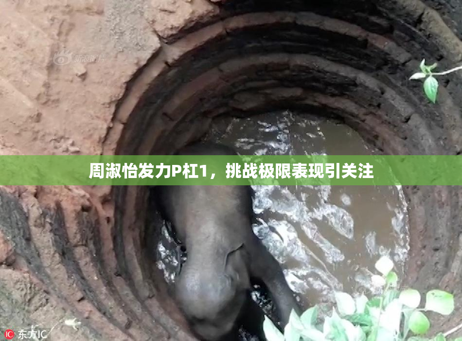 周淑怡发力P杠1，挑战极限表现引关注