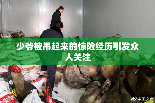 少爷被吊起来的惊险经历引发众人关注