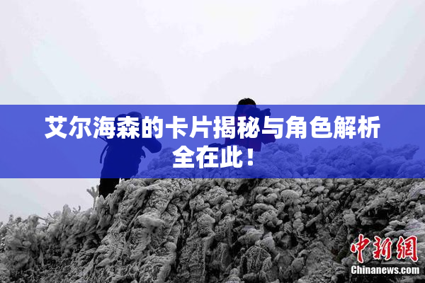 艾尔海森的卡片揭秘与角色解析全在此！