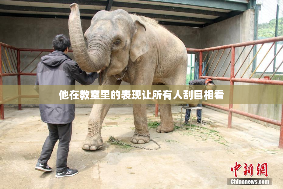 他在教室里的表现让所有人刮目相看