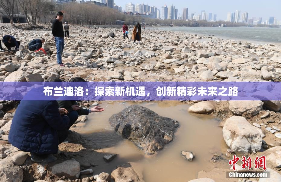 布兰迪洛：探索新机遇，创新精彩未来之路